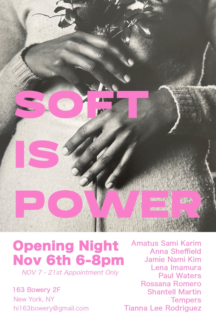 SOFT IS POWER - Opening Night Nov 6th 6-8pm